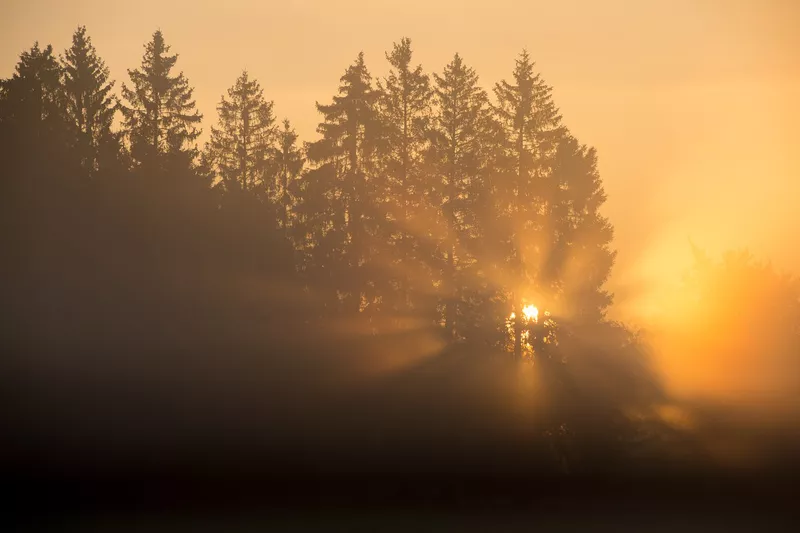 Retraite bien être yoga yin kundalini chamanique FRANCE BELGIQUE BRAME CERF nord